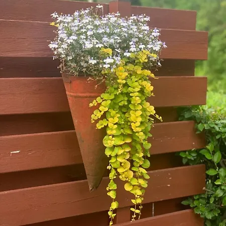 Maeekalda Garden With Private Sauna Penzion *