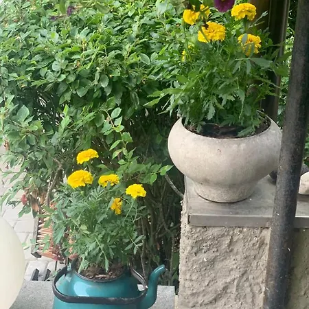 Maeekalda Garden With Private Sauna *