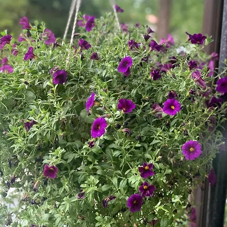 Maeekalda Garden With Private Sauna