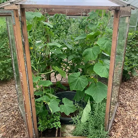 Maeekalda Garden With Private Sauna Pensjonat Rakvere