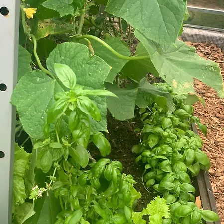 Maeekalda Garden With Private Sauna Penzion