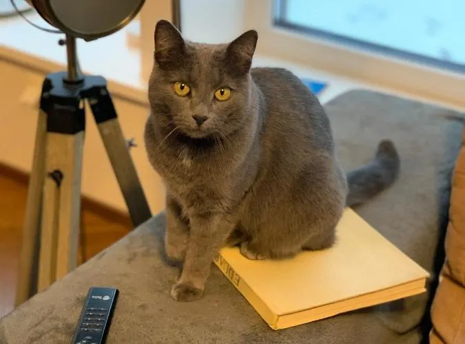 Maeekalda Garden With Private Sauna Pensjonat *