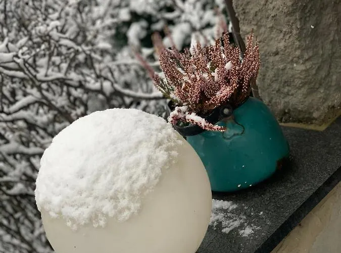 Pensjonat Maeekalda Garden With Private Sauna *