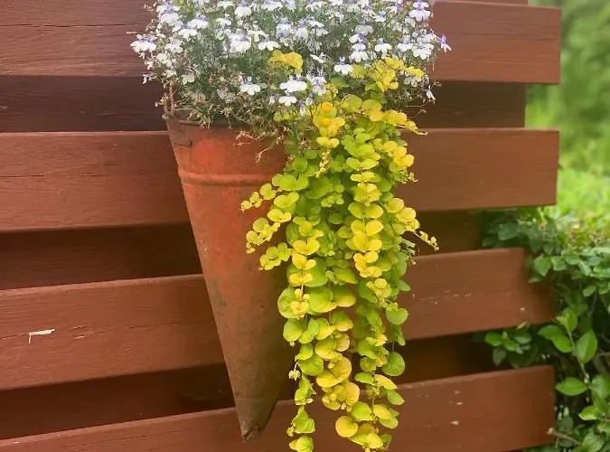 Maeekalda Garden With Private Sauna Pensjonat *