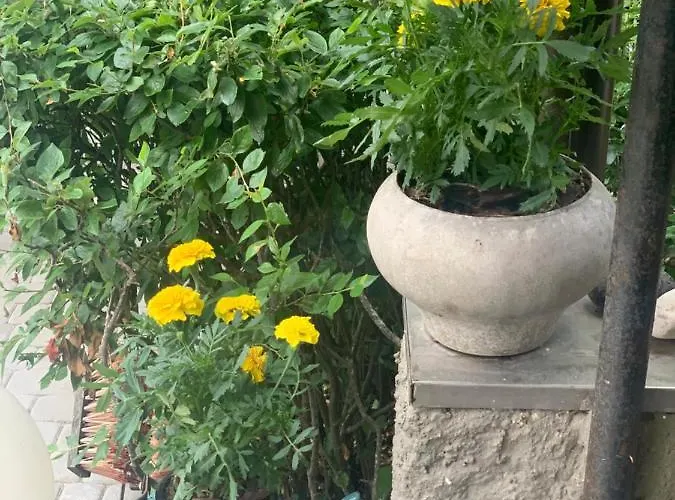 Maeekalda Garden With Private Sauna *