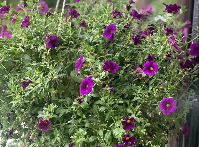 Maeekalda Garden With Private Sauna