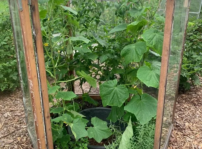 Maeekalda Garden With Private Sauna Pensjonat Rakvere