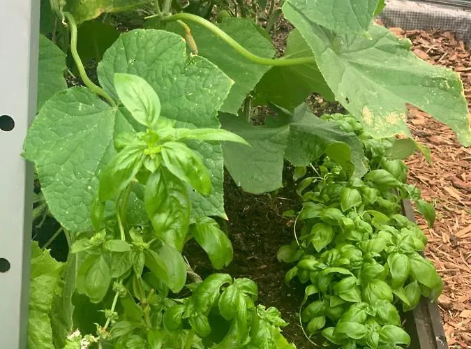 Maeekalda Garden With Private Sauna بيت ضيافة